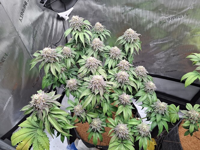 Growreport Bild 2