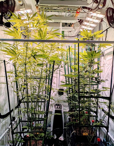 Growreport Bild 1