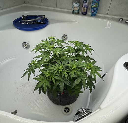 Growreport Bild 34