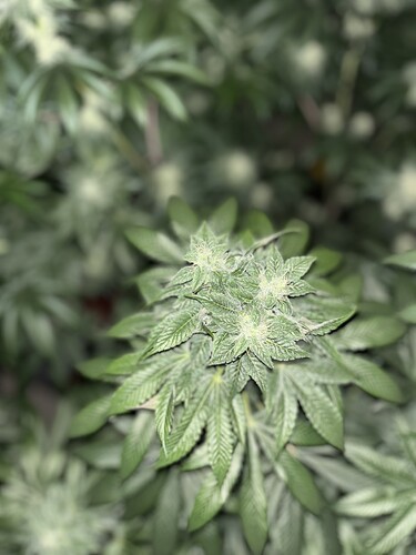 Growreport Bild 14