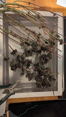 Growreport Bild 1