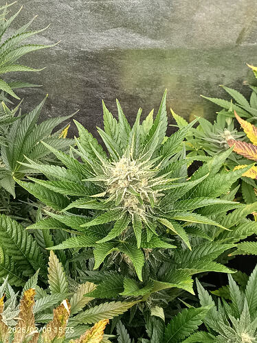 Growreport Bild 10