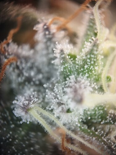 Growreport Bild 14