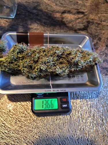 Growreport Bild 10
