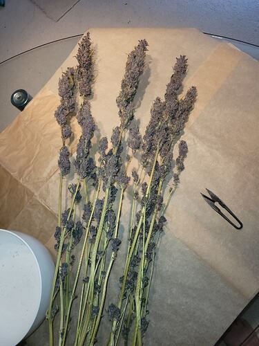 Growreport Bild 18