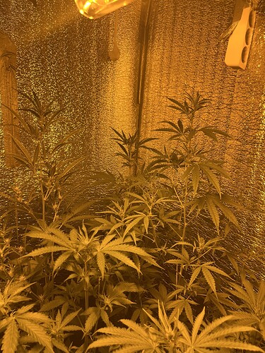 Growreport Bild 10