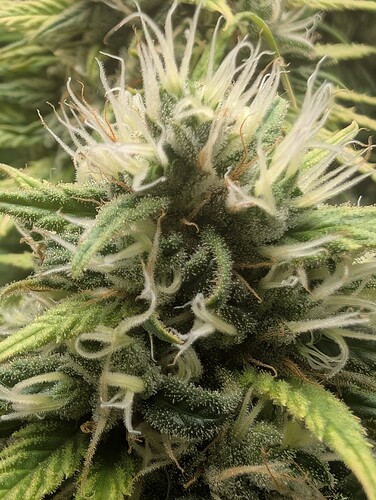 Growreport Bild 10
