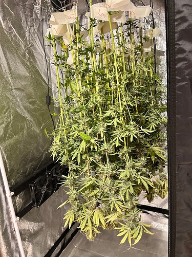 Growreport Bild 15
