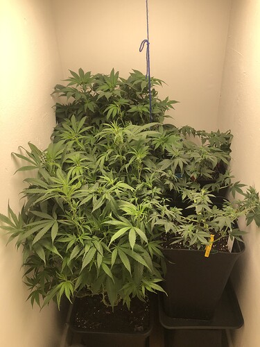 Growreport Bild 10