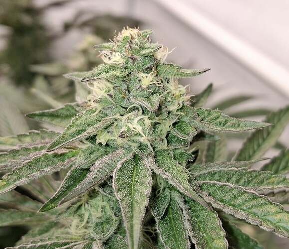 476445645_122167310246293599_7248362184285735793_n