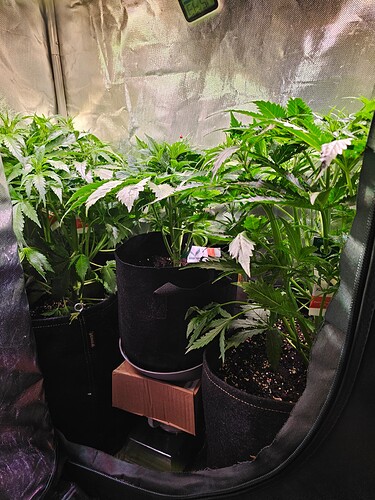 Growreport Bild 14