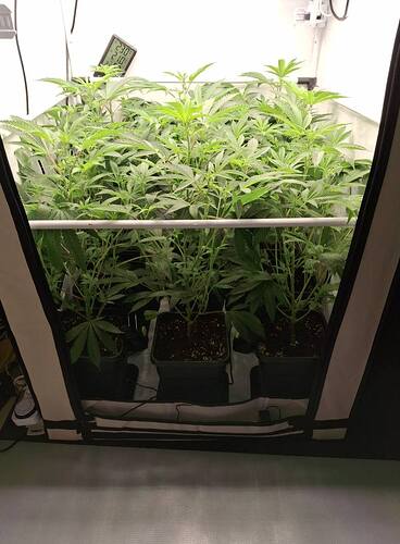 Growreport Bild 12