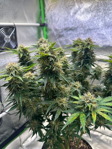 Growreport Bild 13