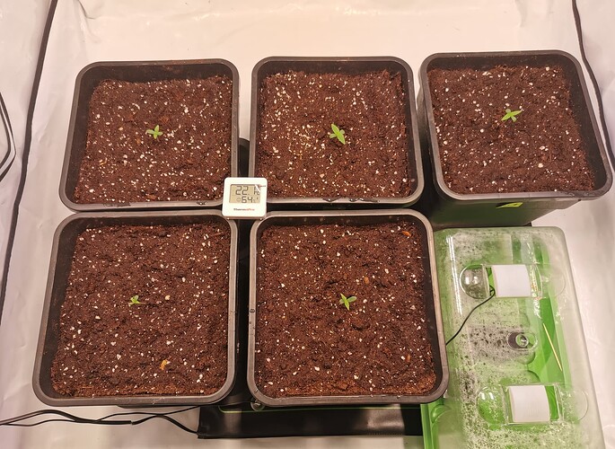 Growreport Bild 12