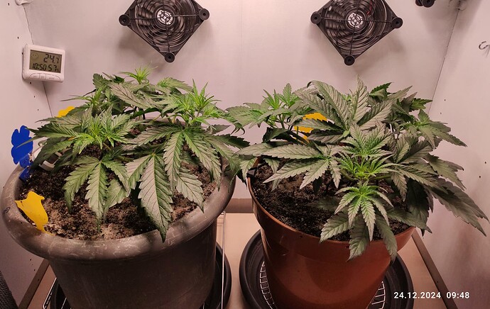 Growreport Bild 6