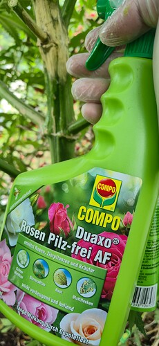 Growreport Bild 16