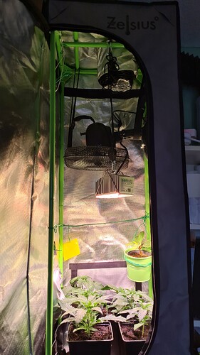 Growreport Bild 18