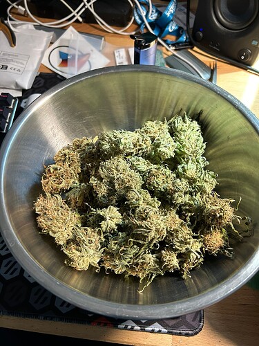 Growreport Bild 5