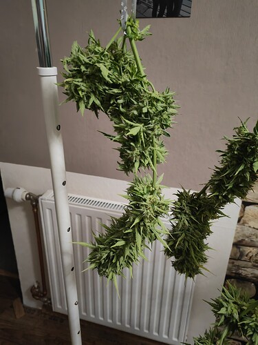Growreport Bild 6