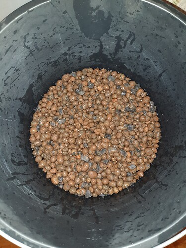 Growreport Bild 3