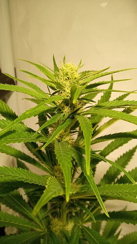 Growreport Bild 16