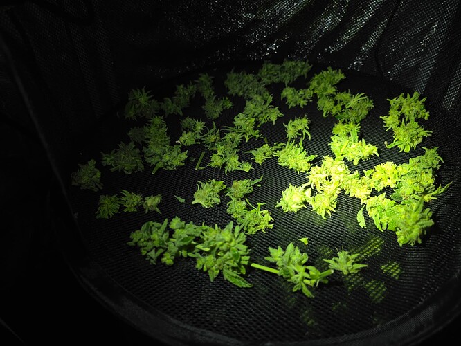 Growreport Bild 12