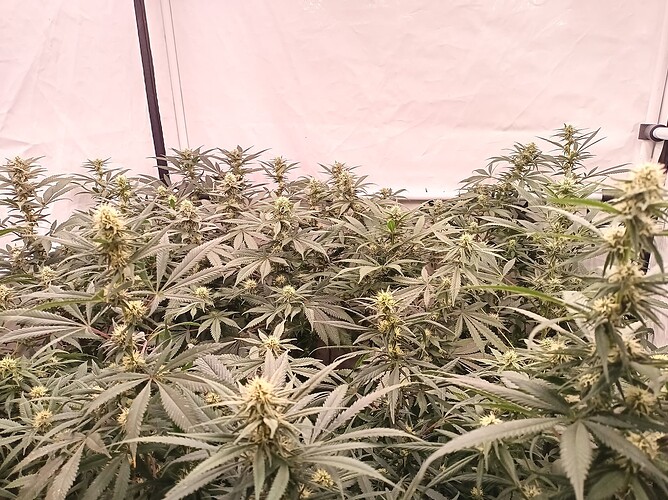Growreport Bild 26