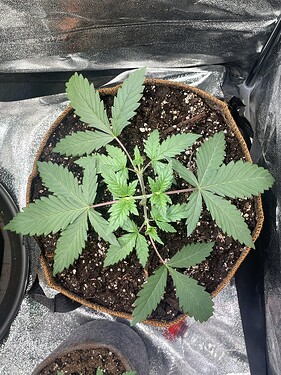 Growreport Bild 20