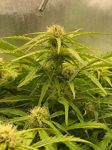 WhatsApp Bild 2024-05-10 um 10.46.10_c1c06a32