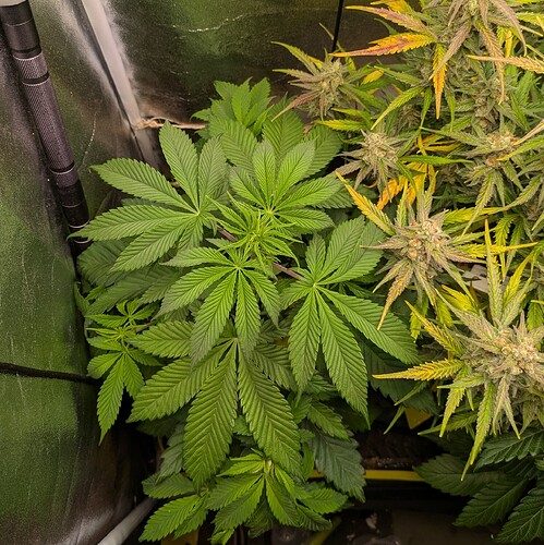 Growreport Bild 10