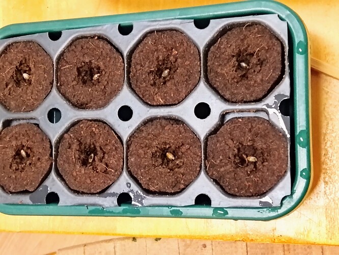 IMG_20250907_123824_HDR