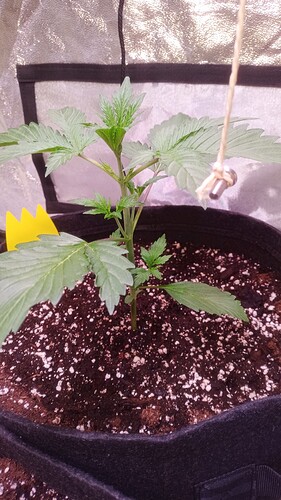 IMG_20240410_162510_649