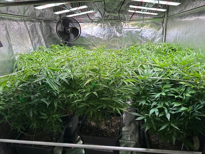 Growreport Bild 7