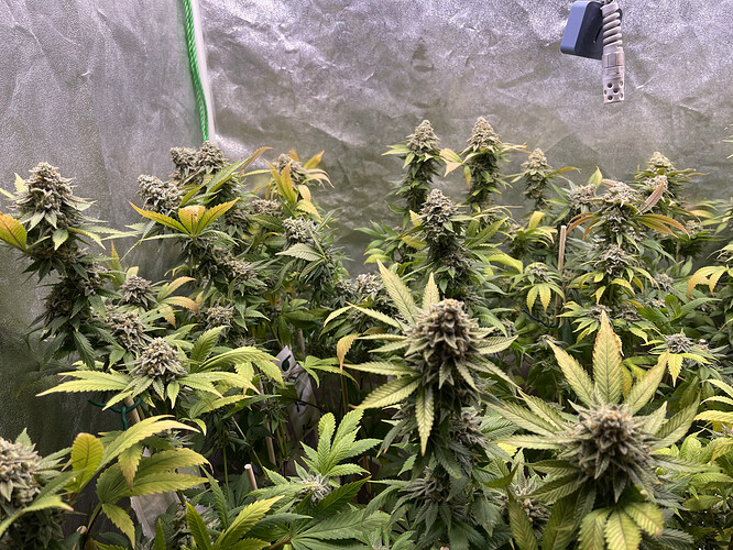 Growreport Bild 26