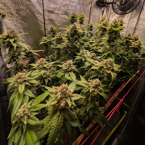 Growreport Bild 8