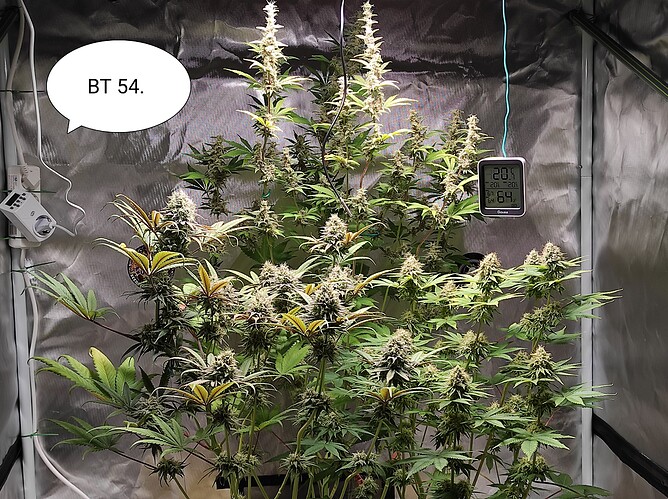 Growreport Bild 5
