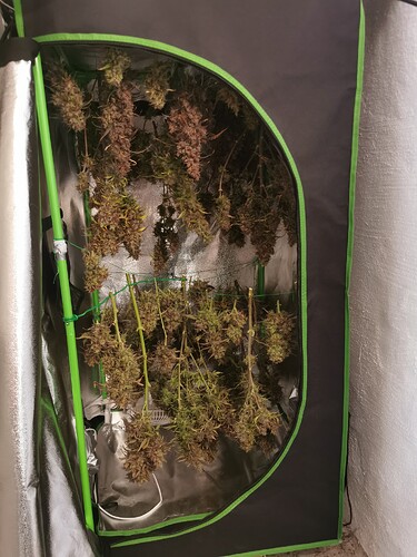 Growreport Bild 4