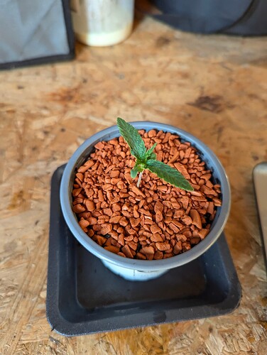 Growreport Bild 5