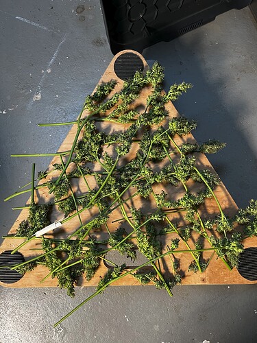 Growreport Bild 3
