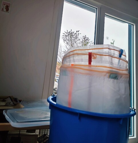 Growreport Bild 22