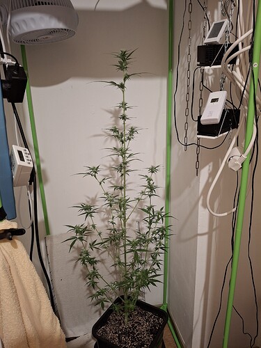 Growreport Bild 189