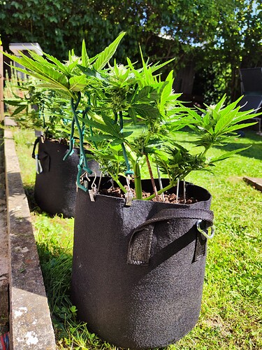 Growreport Bild 17