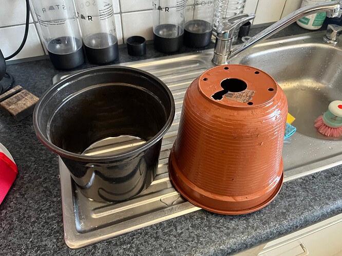 Growreport Bild 1
