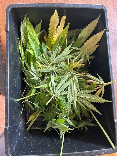Growreport Bild 13