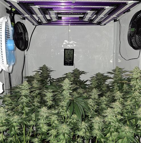 476156921_122166995480293599_1084224307306074122_n