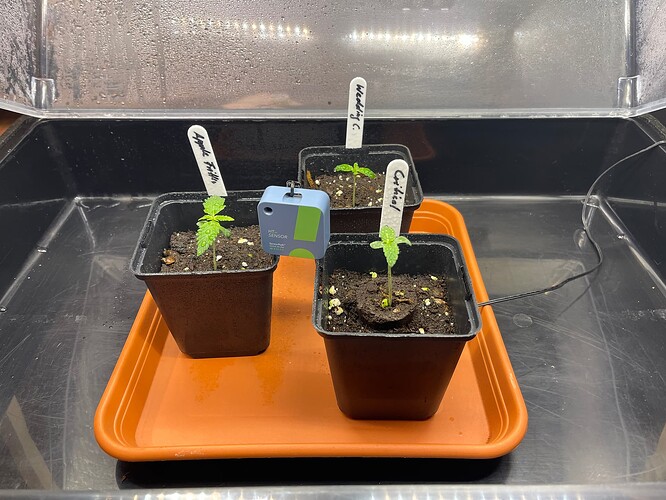 Growreport Bild 14