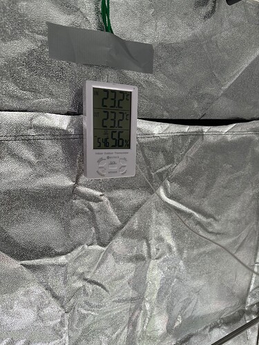 Growreport Bild 56
