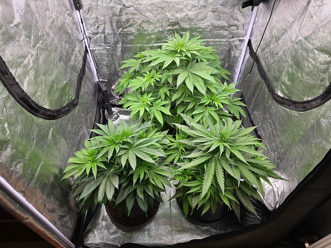 Growreport Bild 4