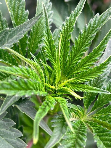 Growreport Bild 18