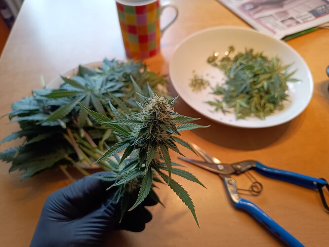 Growreport Bild 18